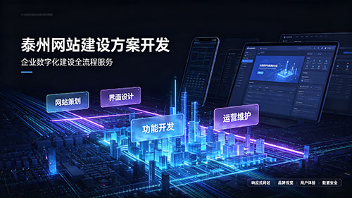 泰州网站建设方案开发 泰州网站建设方案开发
